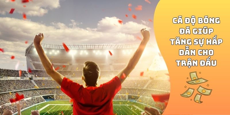 Cá độ bóng đá 