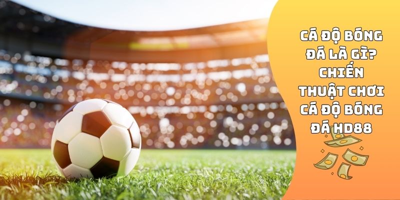 Cá độ bóng đá