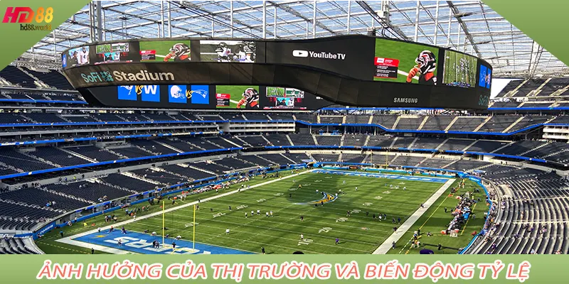 Ảnh hưởng của thị trường và biến động tỷ lệ