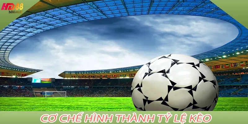 Cơ chế hình thành tỷ lệ kèo