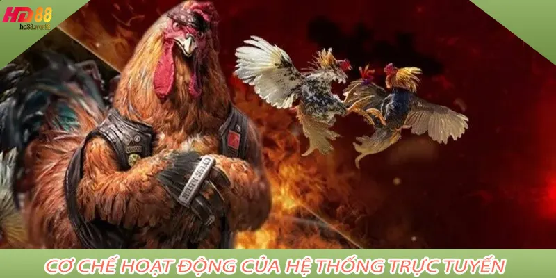 Cơ chế hoạt động của hệ thống trực tuyến