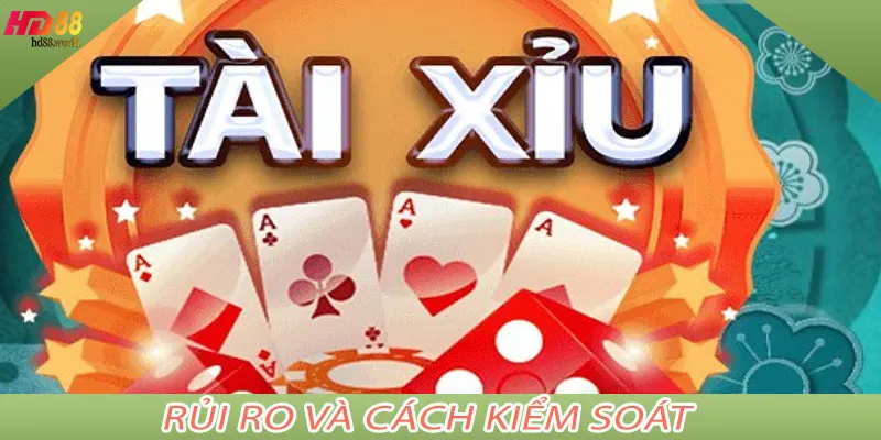 Rủi ro và cách kiểm soát