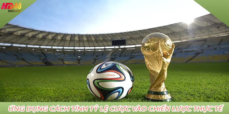 Ứng dụng cách tính tỷ lệ cược vào chiến lược thực tế