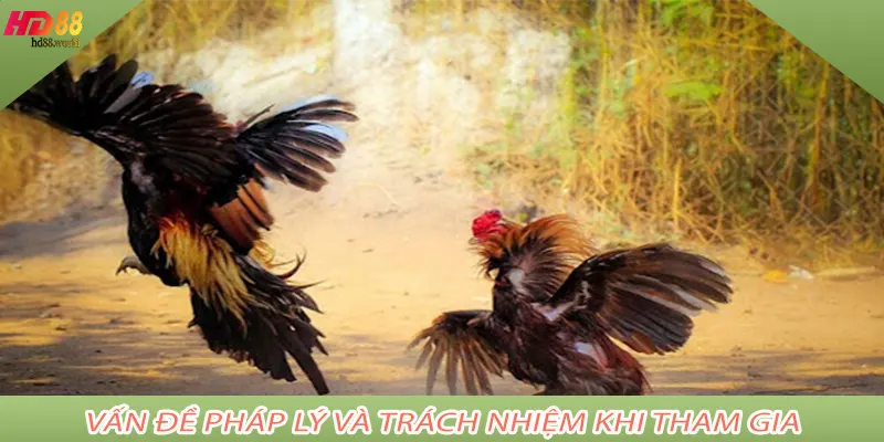 Vấn đề pháp lý và trách nhiệm khi tham gia